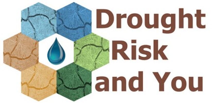 logo of DRY project